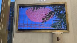 -DR钻戒(南宁会展航洋城店)