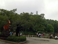 -榴花公园