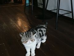 -参差咖啡(水果湖公园店)