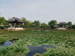 -无锡蠡湖国家湿地公园-蠡园