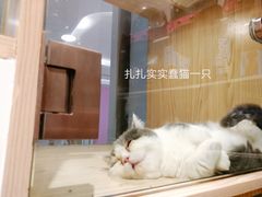 -KKV(深圳宏发大仟里店)