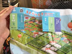 -前小桔亲子创意农场·草莓采摘·露营烧烤