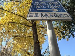 -三里屯东五街银杏大道