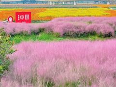 -江苏三台山国家森林公园