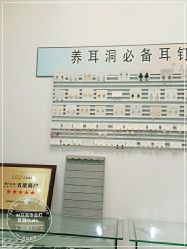 -AI艾耳·专业手工耳洞·穿孔美学馆