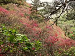 -木兰云雾山