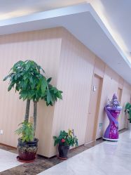 -上海伊莱美医疗美容医院
