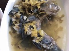 -大树下饭店(春晓镇慈岙社区卫生服务站南)