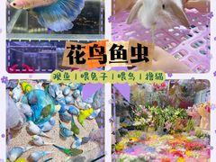 -三旗百汇商品城