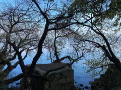 -抚仙湖禄充风景区