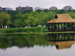 -前关湿地公园