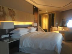 -芽庄喜来登水疗酒店