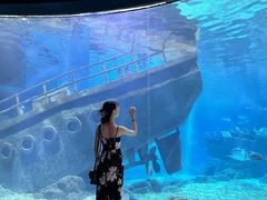 -福州罗源湾海洋世界旅游区