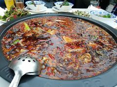 -费明中罗非鱼(大石坝店)