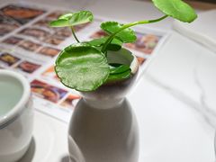 -绿色吴家粥铺(河西天街店)