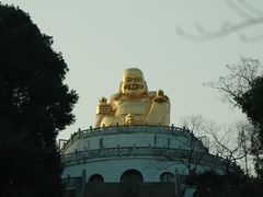-苏州上方山国家森林公园