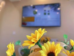 -韩国淼美颜皮肤管理官方直营店