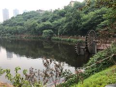 -重庆彩云湖湿地公园