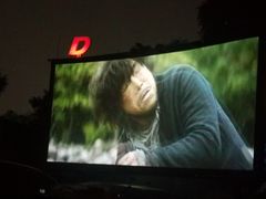 -枫花园汽车电影院(朝阳公园店)