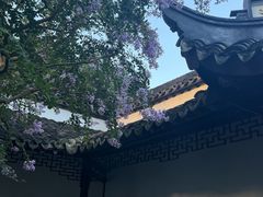 -上海醉白池公园