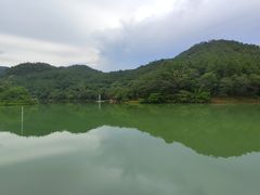 -广州白江湖森林公园