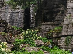 -梭布垭石林景区