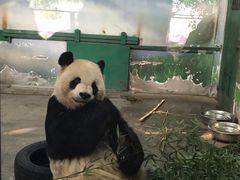 -无锡动物园·太湖欢乐园