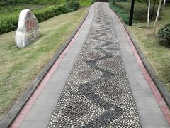 -重庆彩云湖湿地公园