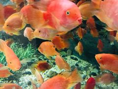 -福州罗源湾海洋世界旅游区