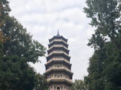 -灵谷景区