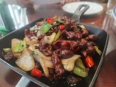 -邵年鸽(杨庄店)