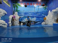 -左海海底世界