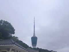 -梧桐山风景名胜区