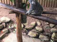 -热带雨林自然公园