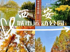 -渭河城市绿地运动公园