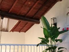 -铭洋专业采耳(田子坊店)