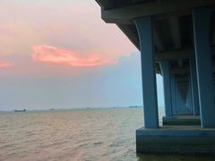 -宝安西湾红树林湿地公园