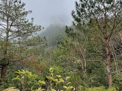 -楠溪江风景名胜区