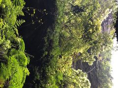 -龙水峡地缝景区