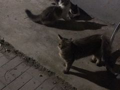 -原柳滩高台阶涮羊肉