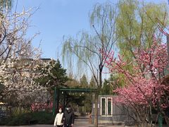 -云海肴·汽锅鸡·云南菜(广安门天虹店)