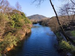 -西湖外事游船(花港观鱼码头)