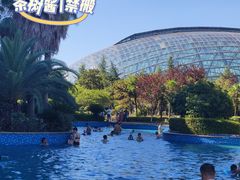 -洪湖悦兮半岛国际温泉度假村
