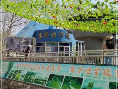 -富斯特索道