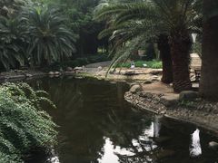 -苏州河梦清园环保主题公园