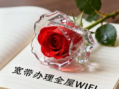 -闪电修企业手机电脑回收(西湖风景名胜区店)