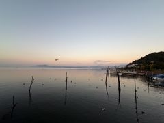 -洱海月湿地公园