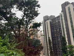 -山顶缆车