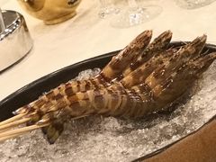 大花虾-官也街澳门火锅(新源里店)