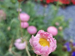 -人民公园(罗湖区)